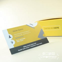 Carte de visite Pantone